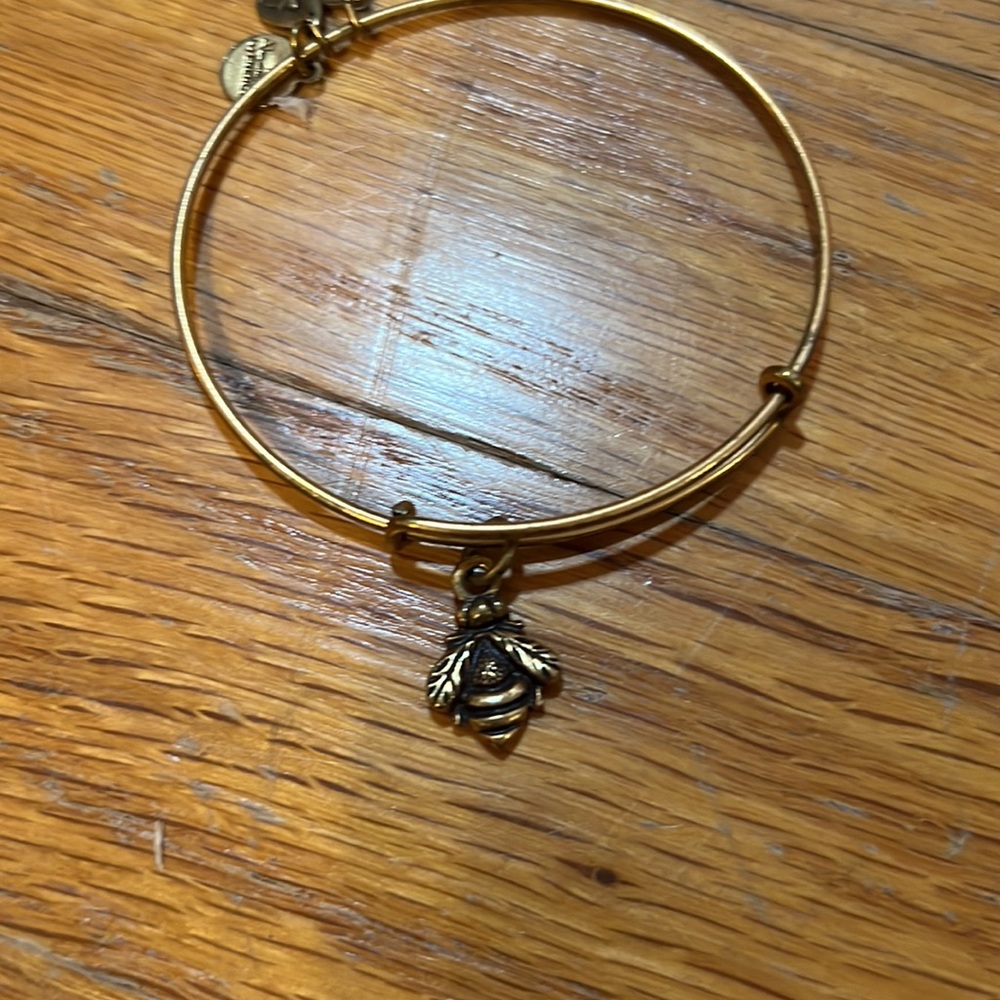 Alex and Ani bundle - Picture 6 of 6